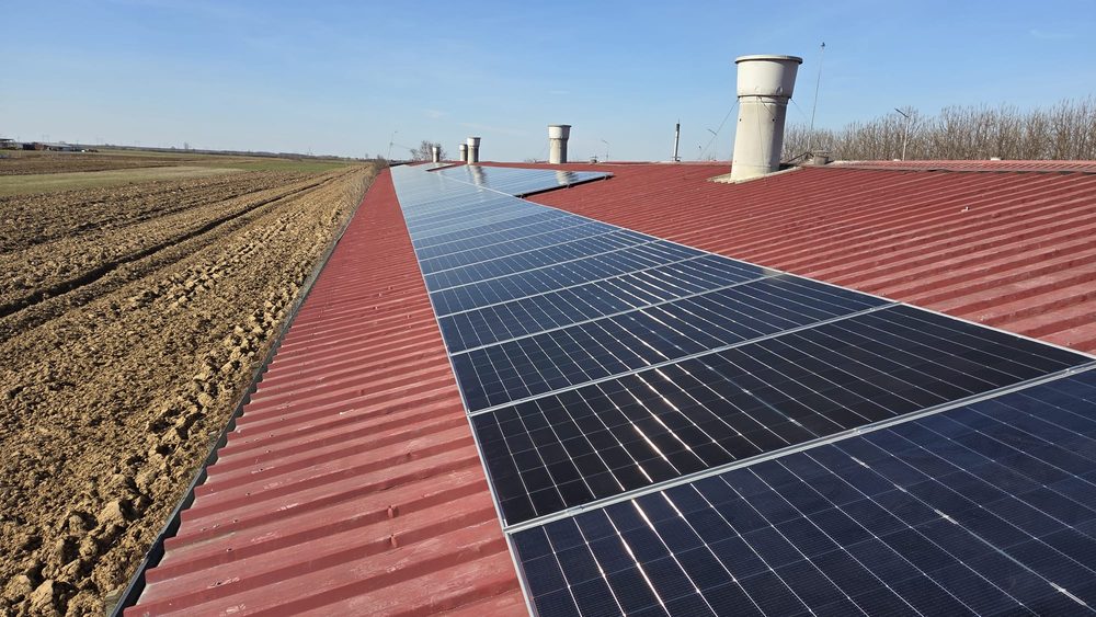 Fermă pui Satu-Mare — sistem fotovoltaic 100KW cu stocare LiFePO4 conform standardelor de igienă AGRO